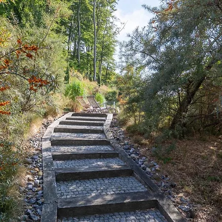 Appartement Theres Sea Shell Sellin (Rugen)